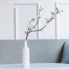 Ceramic Hydroponic Vase Ceramic Hydroponic Vase