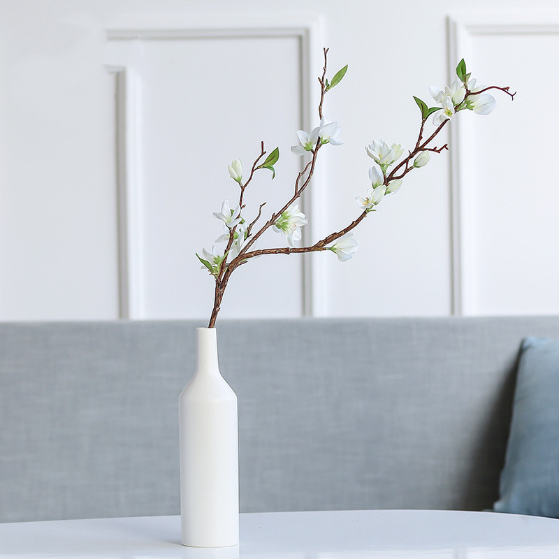 Ceramic Hydroponic Vase Ceramic Hydroponic Vase