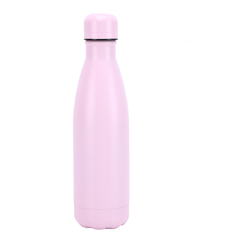 Insulated Stainless Steel Bottle