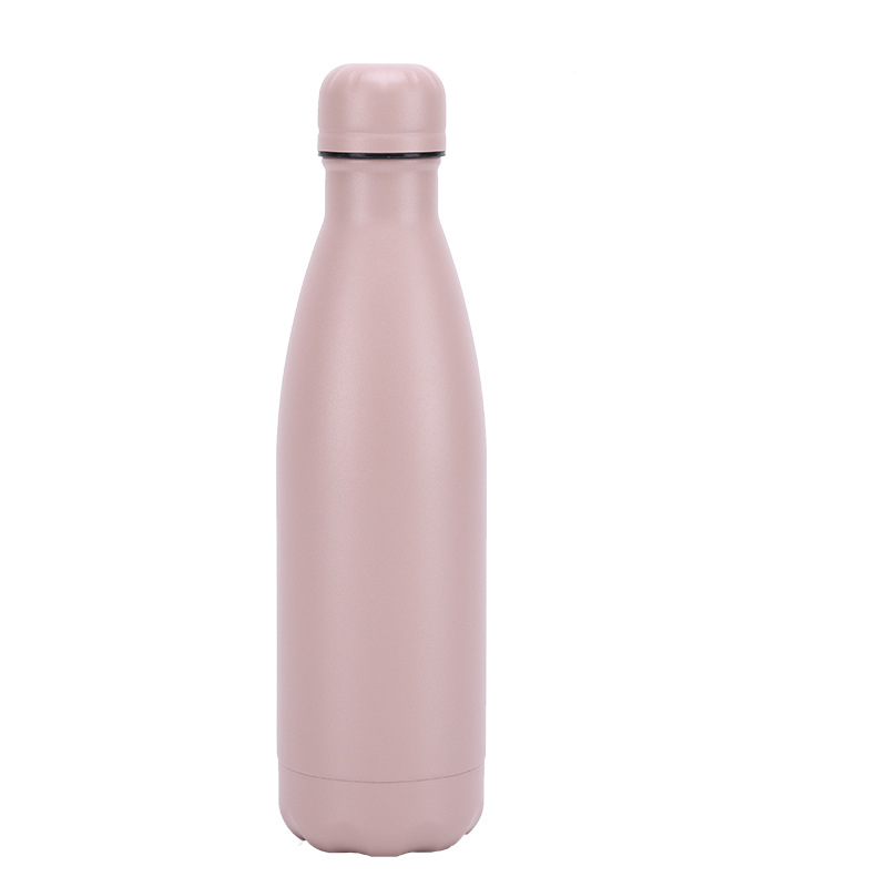 Insulated Stainless Steel Bottle