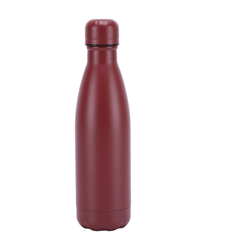 Insulated Stainless Steel Bottle