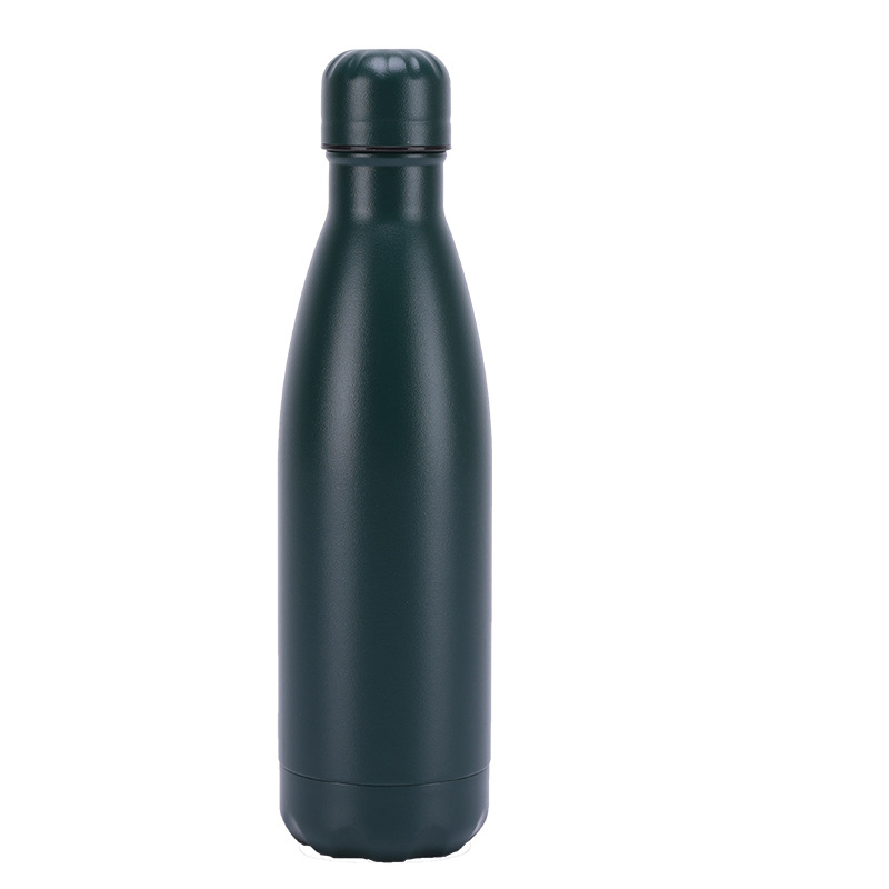 Insulated Stainless Steel Bottle