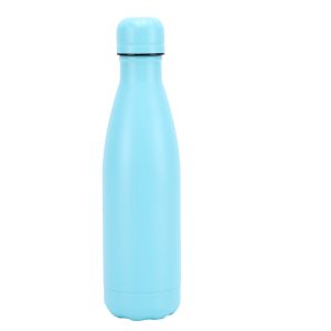 Insulated Stainless Steel Bottle