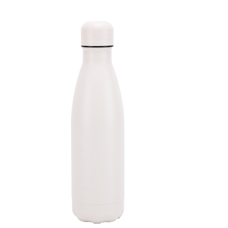 Insulated Stainless Steel Bottle