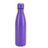 Insulated Stainless Steel Bottle