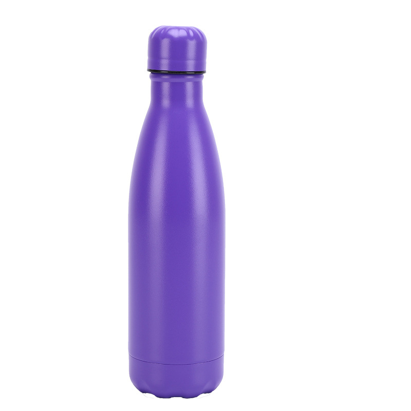 Insulated Stainless Steel Bottle