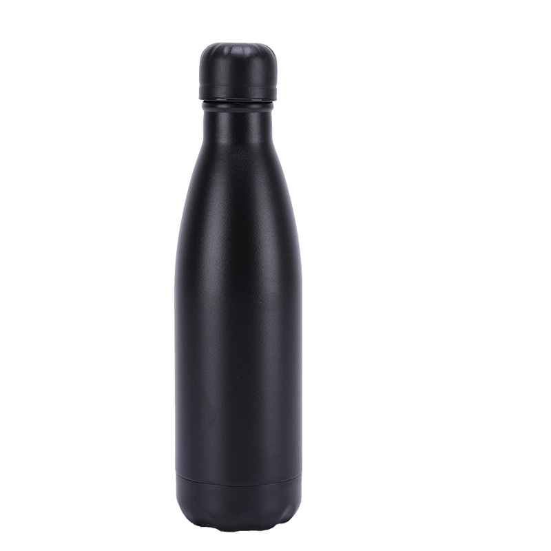 Insulated Stainless Steel Bottle