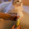 Rechargeable Pet Nail Grinder