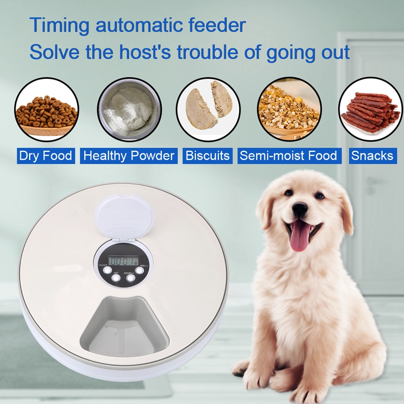 Timed Pet Feeder (6 Compartments)